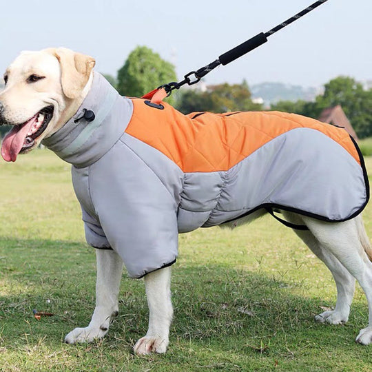 Waterproof pet clothes for medium to large dogs, designed for the winter season. This warm and thickened dog vest is a custom Labrador jacket.